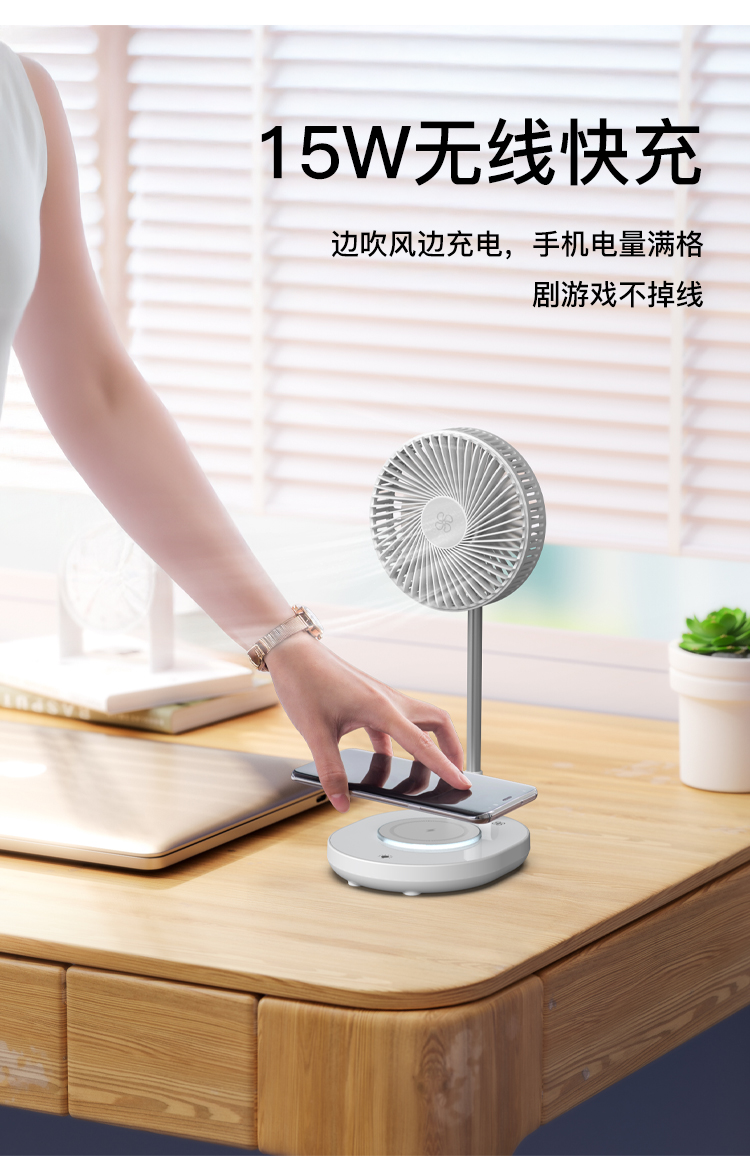 详情_10.jpg
